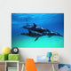 Atlantic Spotted Dolphins Wall Mural