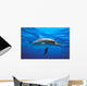 Atlantic Spotted Dolphin Wall Mural