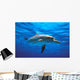 Atlantic Spotted Dolphin Wall Mural