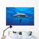 Atlantic Spotted Dolphin Wall Mural