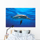 Atlantic Spotted Dolphin Wall Mural