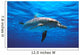 Atlantic Spotted Dolphin Wall Mural