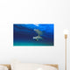 Bottlenose Dolphin Wall Mural