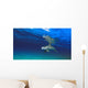 Bottlenose Dolphin Wall Mural