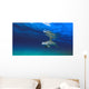 Bottlenose Dolphin Wall Mural