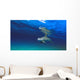 Bottlenose Dolphin Wall Mural