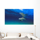 Bottlenose Dolphin Wall Mural