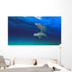 Bottlenose Dolphin Wall Mural