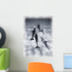 Atlantic Spotted Dolphins Wall Mural