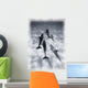 Atlantic Spotted Dolphins Wall Mural