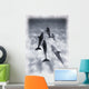 Atlantic Spotted Dolphins Wall Mural