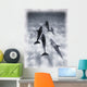 Atlantic Spotted Dolphins Wall Mural