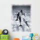Atlantic Spotted Dolphins Wall Mural