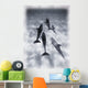 Atlantic Spotted Dolphins Wall Mural