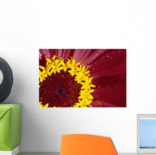Detail Of The Inside Of A Flower Wall Mural