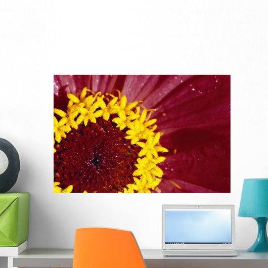 Detail Of The Inside Of A Flower Wall Mural