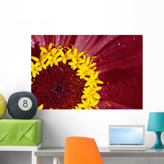 Detail Of The Inside Of A Flower Wall Mural