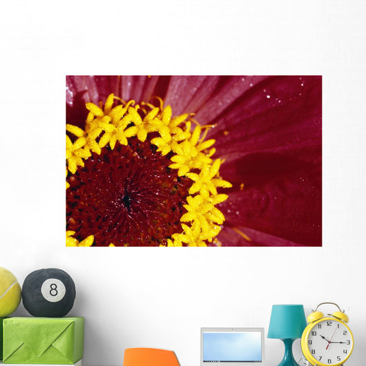 Detail Of The Inside Of A Flower Wall Mural