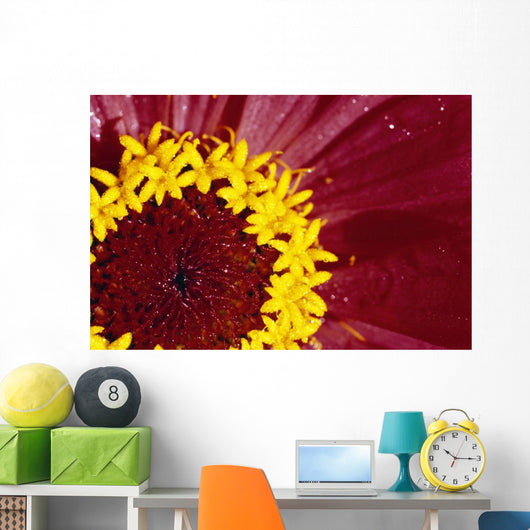 Detail Of The Inside Of A Flower Wall Mural