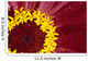 Detail Of The Inside Of A Flower Wall Mural