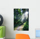 Sunlight Through Trees, Ecola State Park, Oregon, Usa Wall Mural