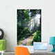 Sunlight Through Trees, Ecola State Park, Oregon, Usa Wall Mural
