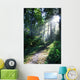 Sunlight Through Trees, Ecola State Park, Oregon, Usa Wall Mural