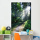 Sunlight Through Trees, Ecola State Park, Oregon, Usa Wall Mural
