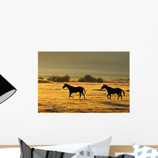 Silhouetted Horses Running Wall Mural