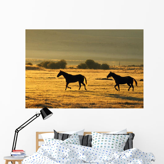 Silhouetted Horses Running Wall Mural