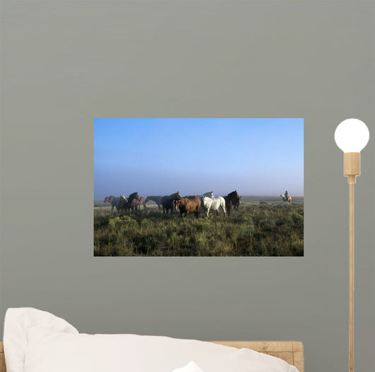 Herd Of Horses And Cowboy On Horseback Wall Mural