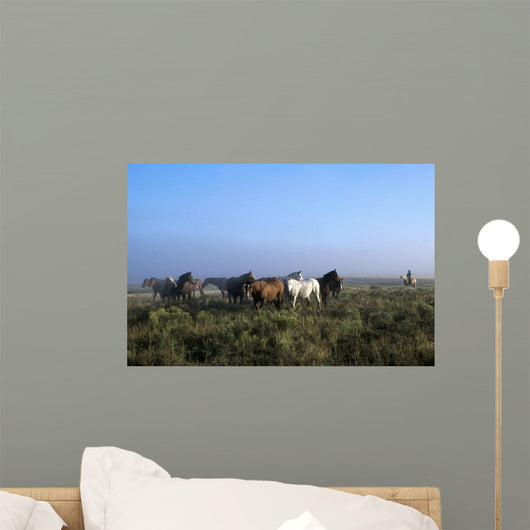Herd Of Horses And Cowboy On Horseback Wall Mural