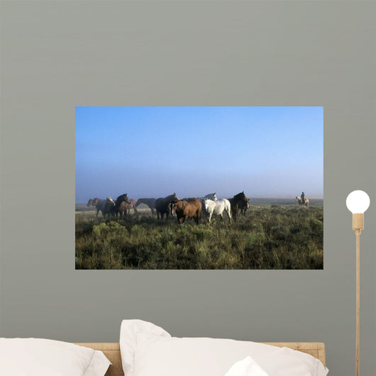 Herd Of Horses And Cowboy On Horseback Wall Mural