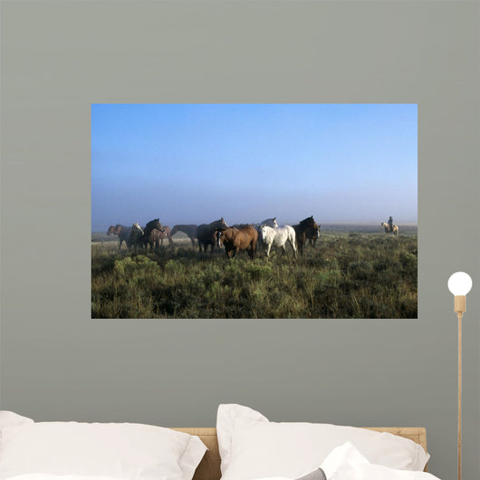 Herd Of Horses And Cowboy On Horseback Wall Mural