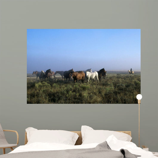 Herd Of Horses And Cowboy On Horseback Wall Mural