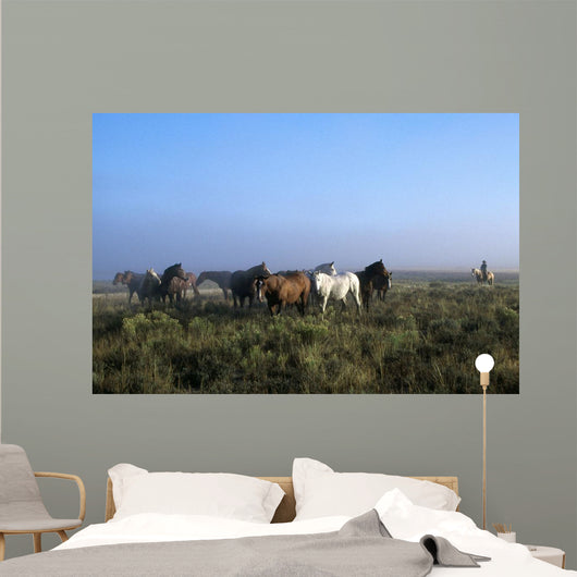 Herd Of Horses And Cowboy On Horseback Wall Mural