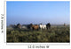 Herd Of Horses And Cowboy On Horseback Wall Mural