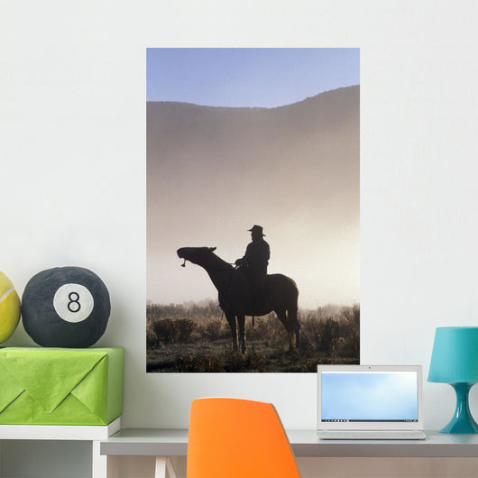 Silhouetted Cowboy On Horseback In Fog Wall Mural