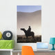 Silhouetted Cowboy On Horseback In Fog Wall Mural
