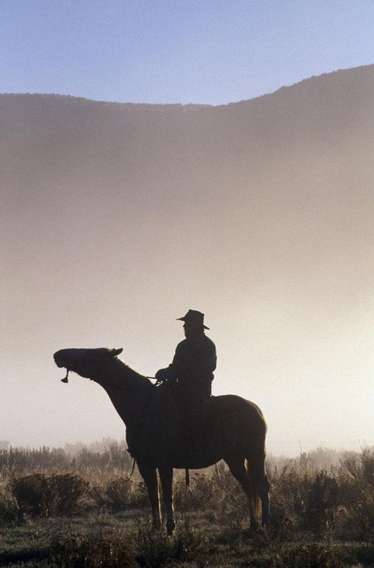 Silhouetted Cowboy On Horseback In Fog Wall Mural