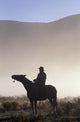 Silhouetted Cowboy On Horseback In Fog Wall Mural