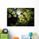 Sunlight Through Maple Leaves Wall Mural