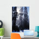 Sunbeams Through Pine Trees Wall Mural