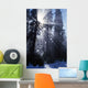 Sunbeams Through Pine Trees Wall Mural