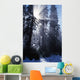 Sunbeams Through Pine Trees Wall Mural