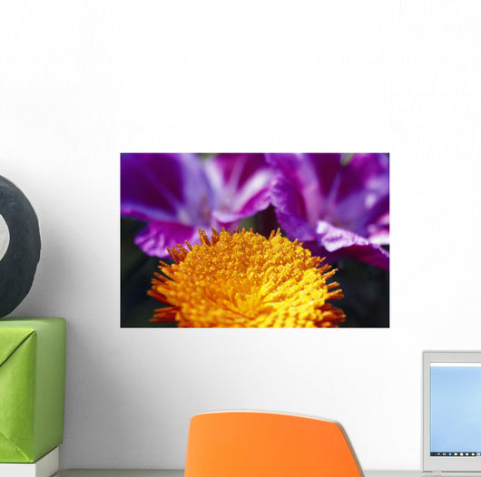 Closeup Of Flower Blossom Wall Mural