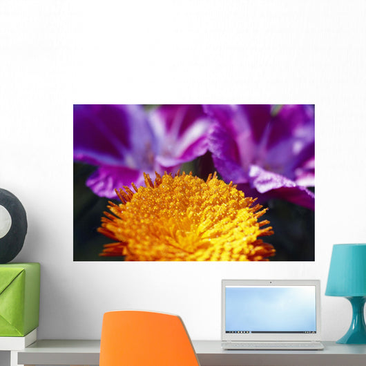 Closeup Of Flower Blossom Wall Mural