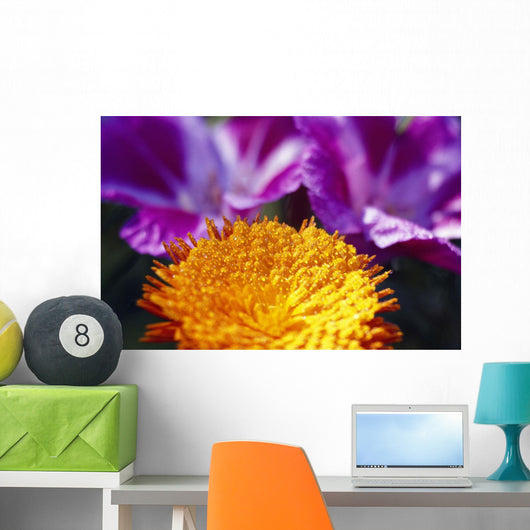 Closeup Of Flower Blossom Wall Mural