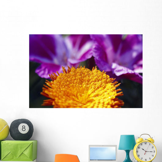Closeup Of Flower Blossom Wall Mural