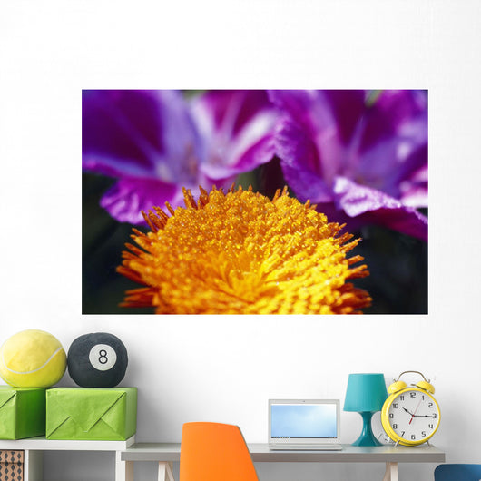Closeup Of Flower Blossom Wall Mural